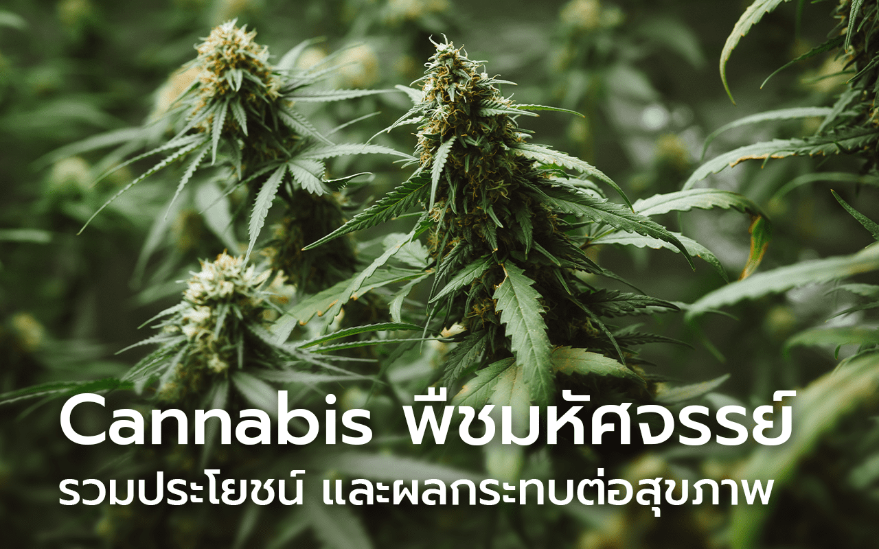 Cannabis
