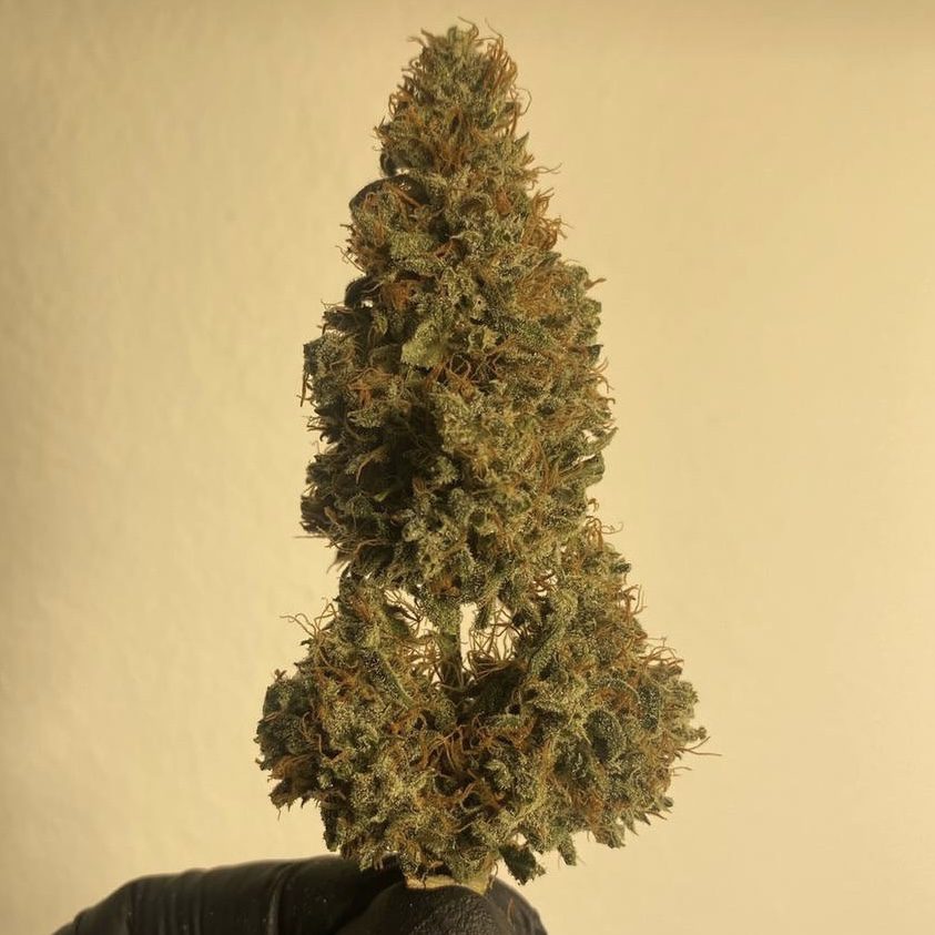 กัญชา, น้ำมันกัญชา, บุหรี่กัญชาไฟฟ้า, กัญชาไฟฟ้า, บุหรี่ไฟฟ้ากัญชา, ขนมกัญชา, เยลลี่กัญชา, กัญชาทางการแพทย์, ขนมอวกาศ, กัญชาVape