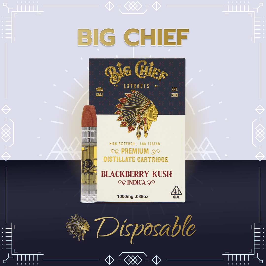 Big Chief Disposable