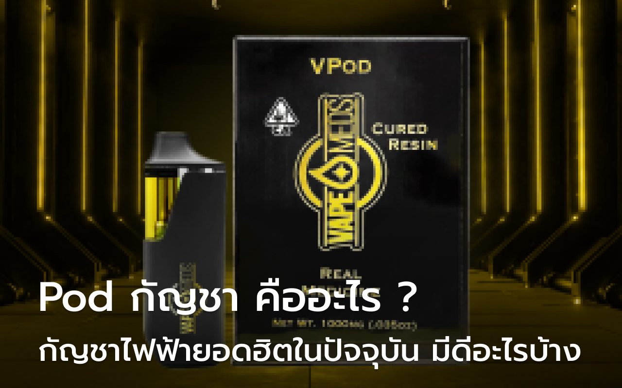 Podกัญชา